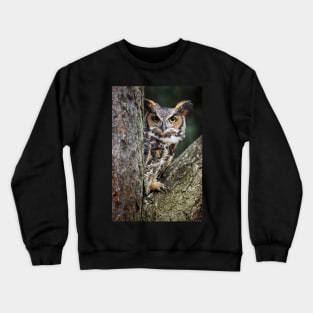 Great Horned Owl Peering Out Crewneck Sweatshirt